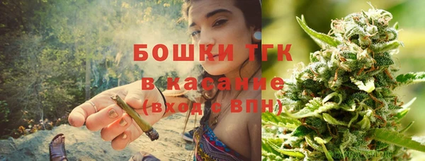 сатива Приозерск