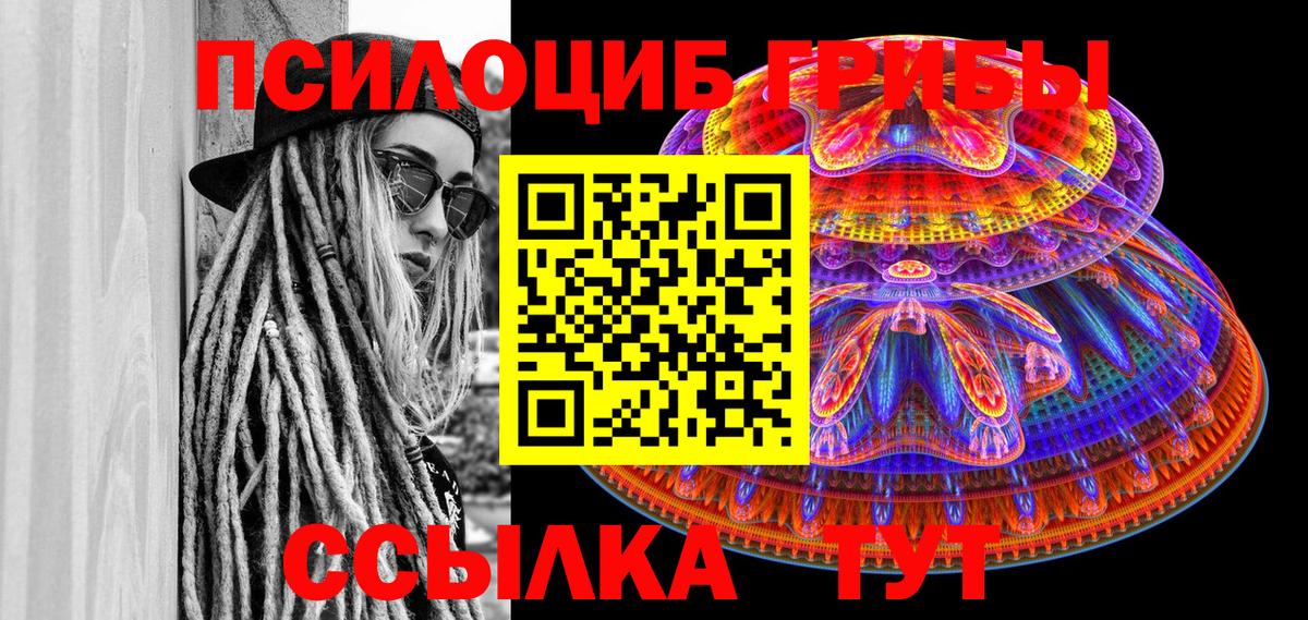 Псилоцибиновые грибы Cubensis Елец