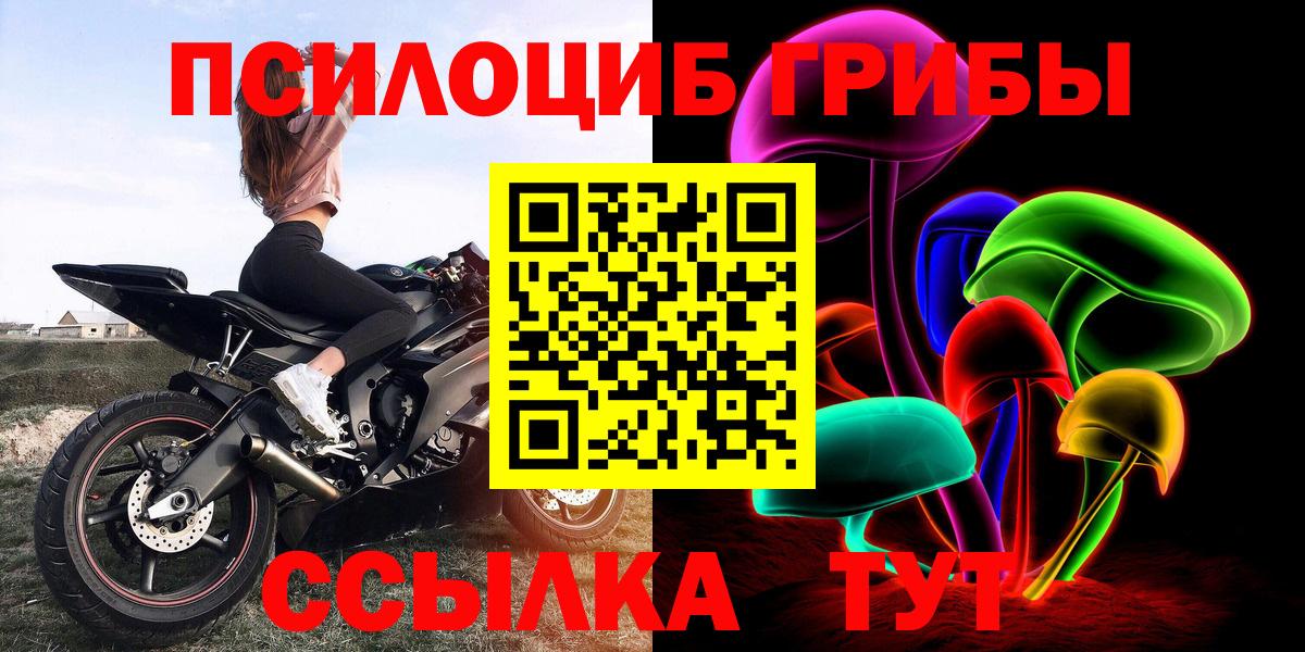 Галлюциногенные грибы GOLDEN TEACHER  Вход с VPN  Елец 