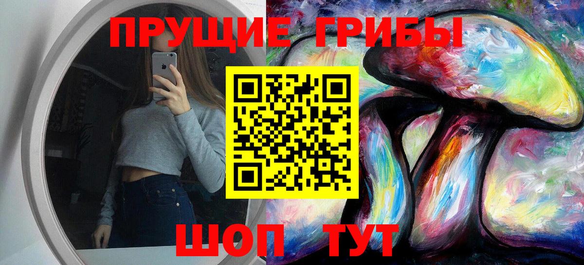 Галлюциногенные грибы Psilocybe Елец